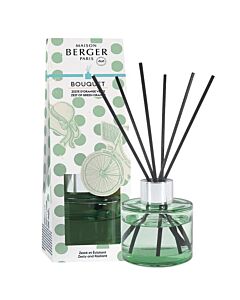 Maison Berger - Zest of Green Orange Dolce mini Scented Bouquet
